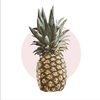 shicpineapple